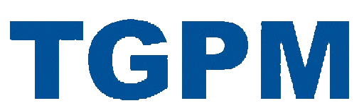 Guangdong TGPM AUTOMOTIVE Industry Group Co., Ltd.
